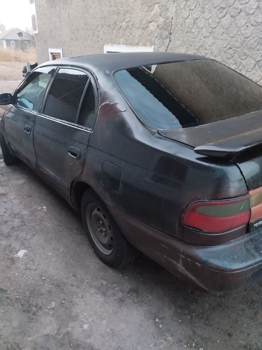 Карина е на ходу