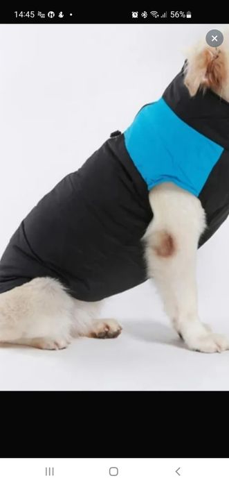 Жилетка для собаки