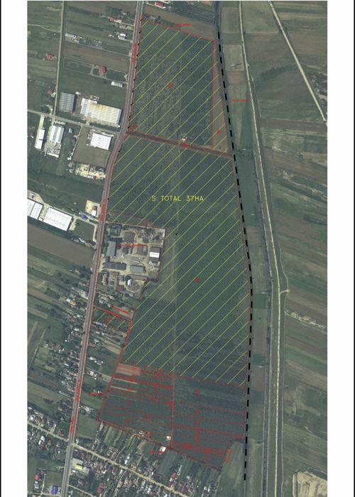 Teren 38 HA (intravilan) de închiriat - lângă Pitești