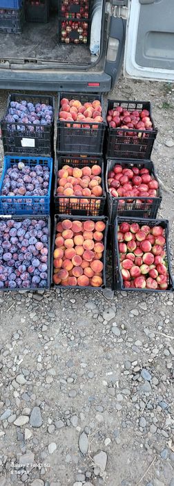 Vand prune de masa sau pentru tuica