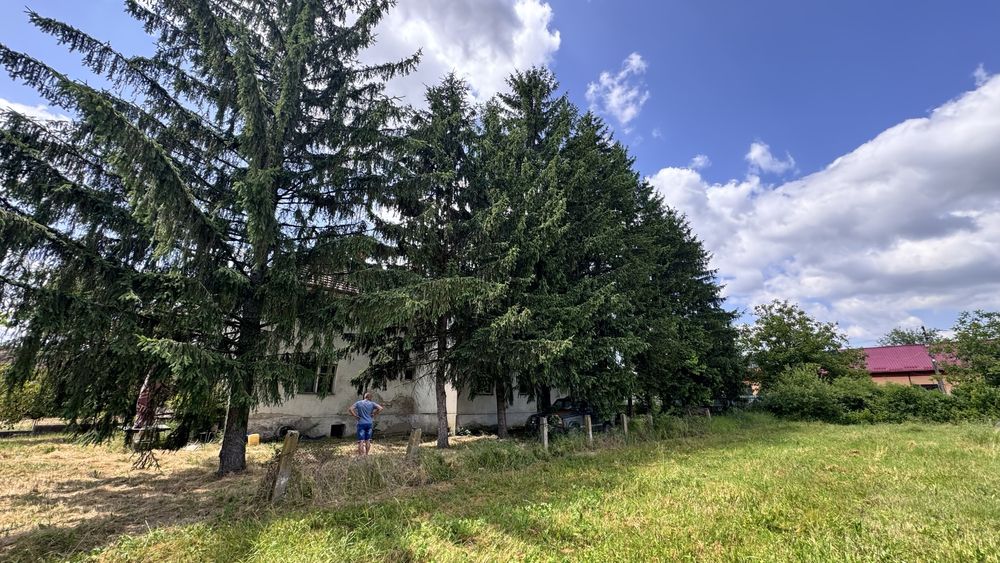 Teren de vanzare Cehal 64 Ha