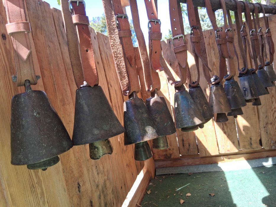 Чанове, Чан, Звънци