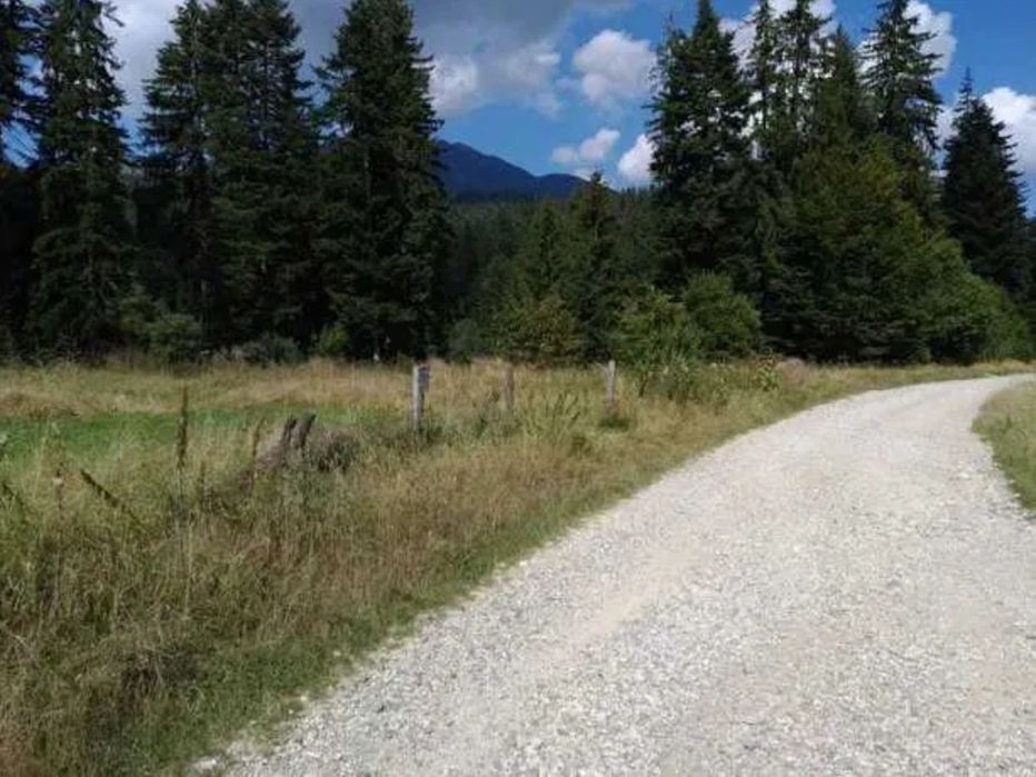 Pf vand teren Predeal