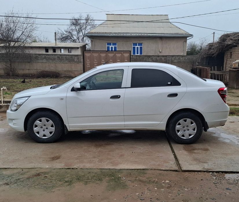 Kobalt 2024 Mexanika