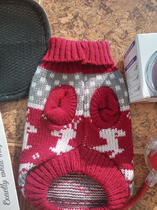 Комплект за котенце