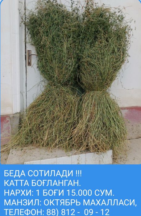 Beda va beda aralash mayin pichan sotiladiI !!!