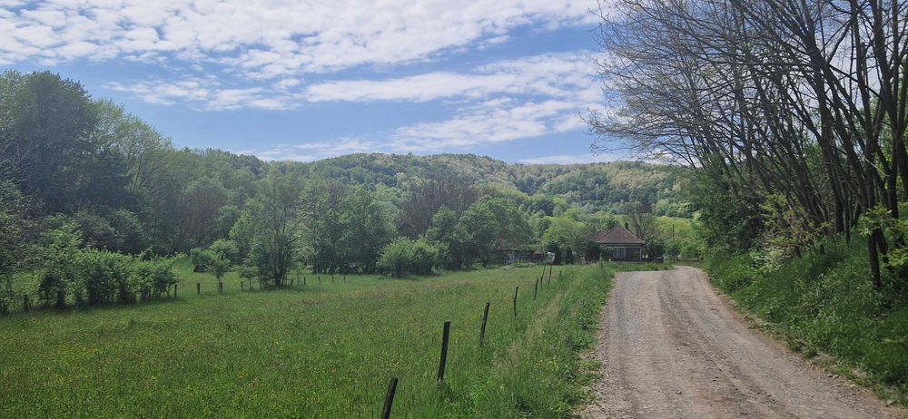 Vand teren intravilan pretabil constructie locuinta/cabana Brad-HD