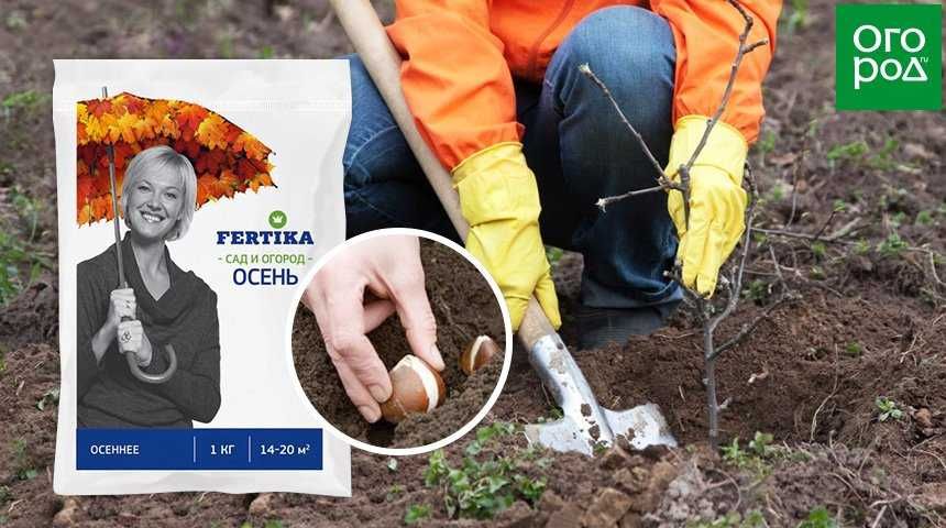 Удобрение Fertika  Хвойное  + Газон