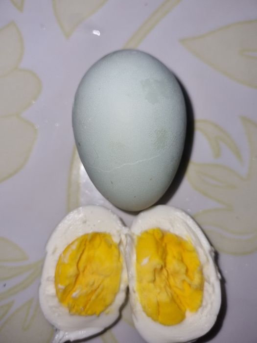 Продам яица уилхеи лечебное