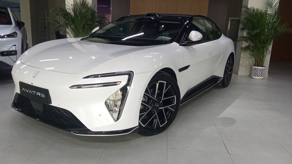 Аватор 06 Гибрид