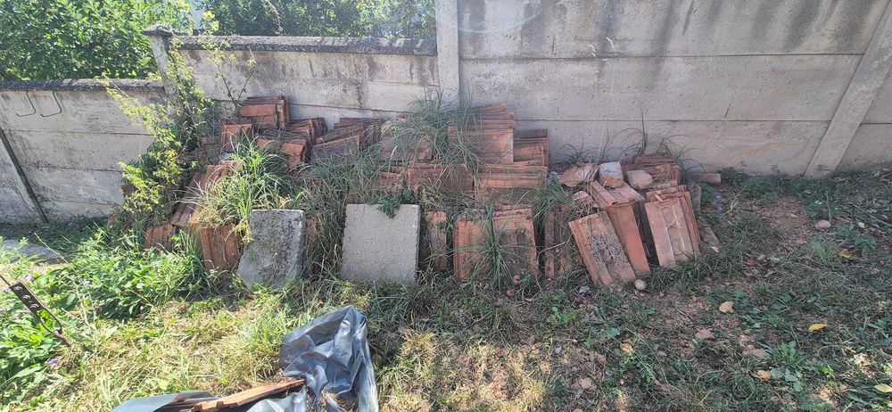 Donez Țigla. Zlasti, Hunedoara