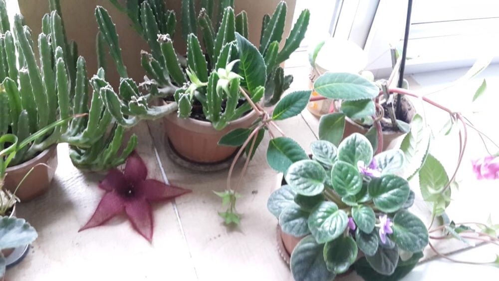 Bluetooth aux. Высшее качество