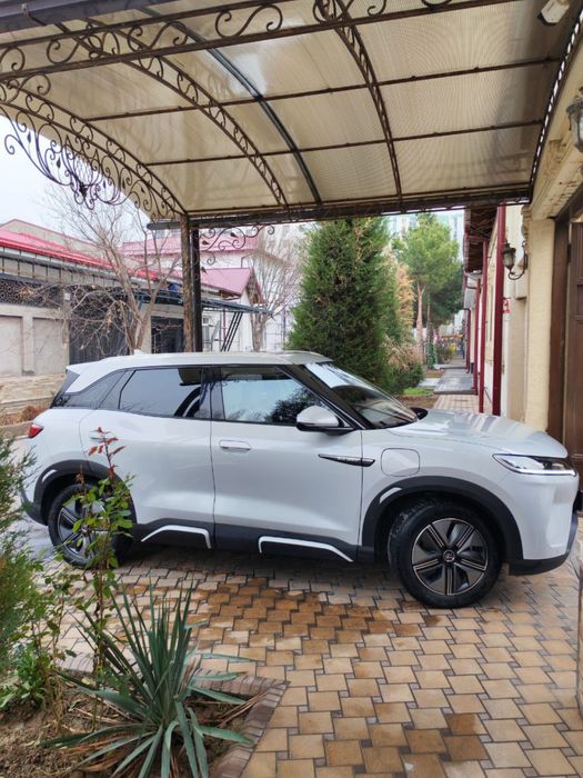 Byd Yuan up 2024 yil