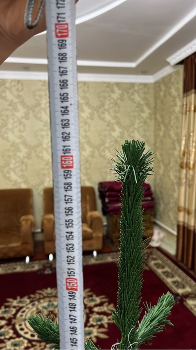 Шырша, Ёлка.