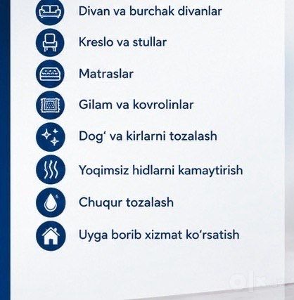 Divan va Mebel Tozalash