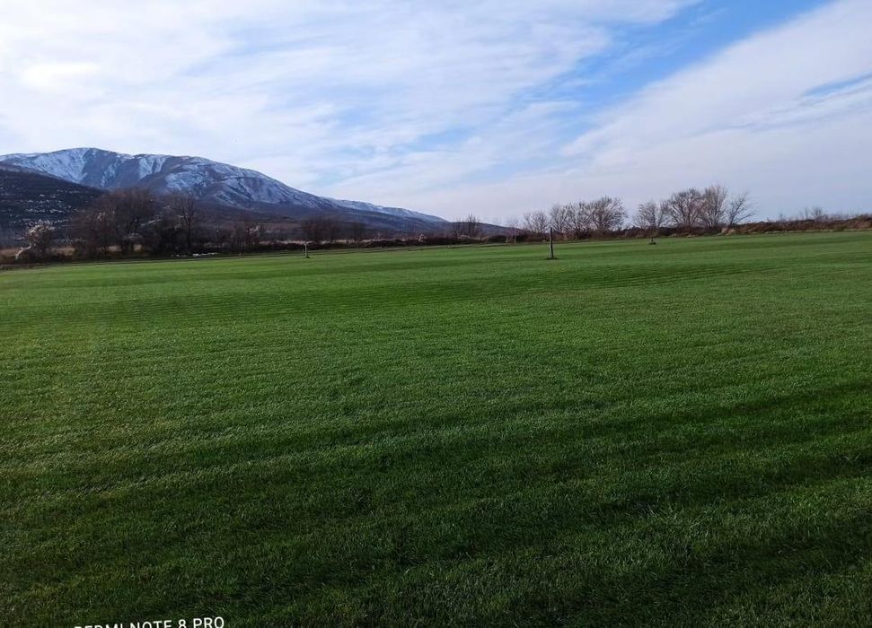 Газон под ключ в Алматы | Рулонный сорт Джонсонс | Без посредников