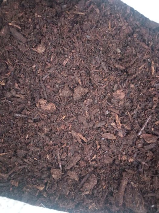 Optom qizil miya + chirdiladan tayirlangan Torf