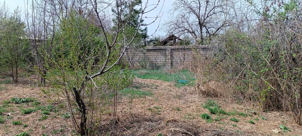 Дача Навбахор 12 сотих