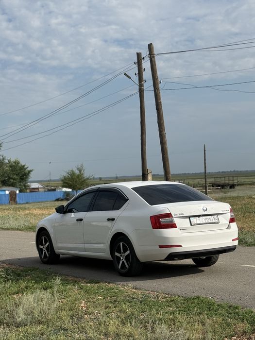 Обмен на скот(крс , мрс, лошадей)