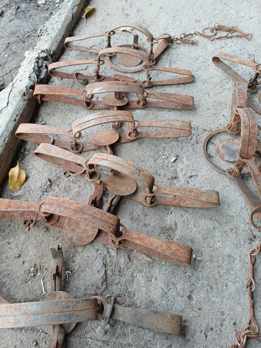 Продам капканы для ловли хищников.