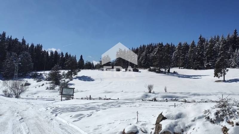 Продава се Парцел в Сърница - 11108 кв.м за 20 €/кв.м - Снимка #5