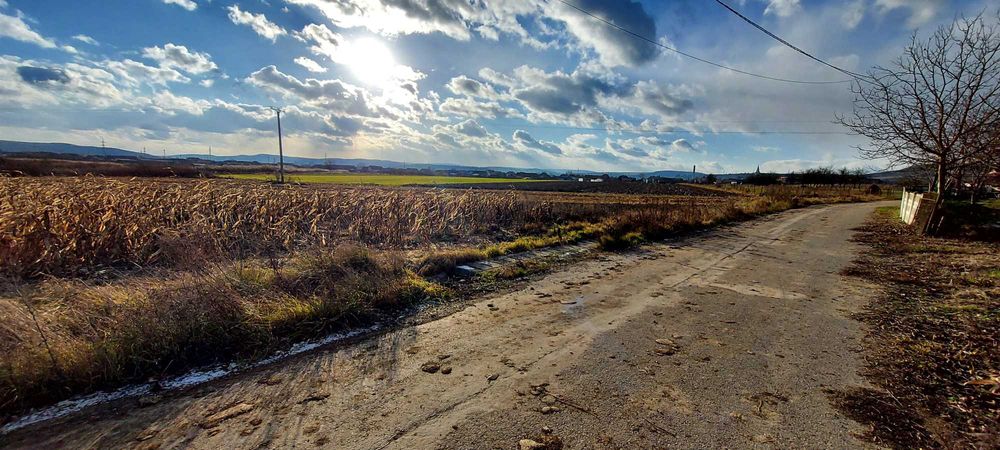 Vând teren intravilan in Cuzdrioara,750 mp