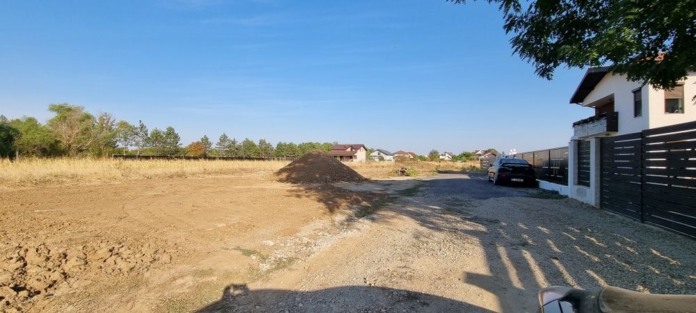 Teren padure Snagov Ciofliceni