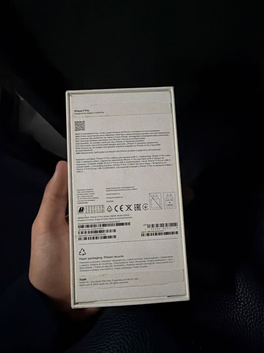 17pro e sim silver