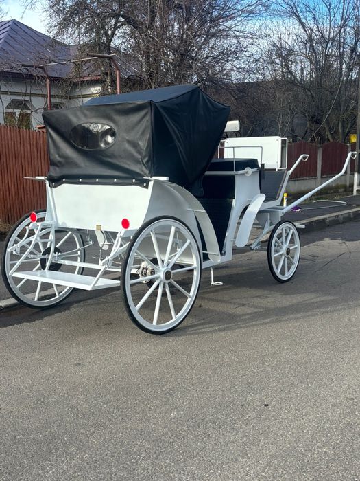 Trasura de  vanazare