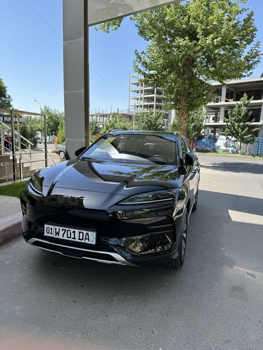 BYD champion 605 Honnor
