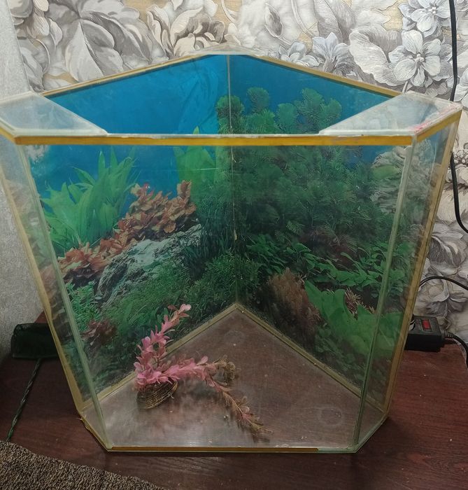 аквариум для рыб