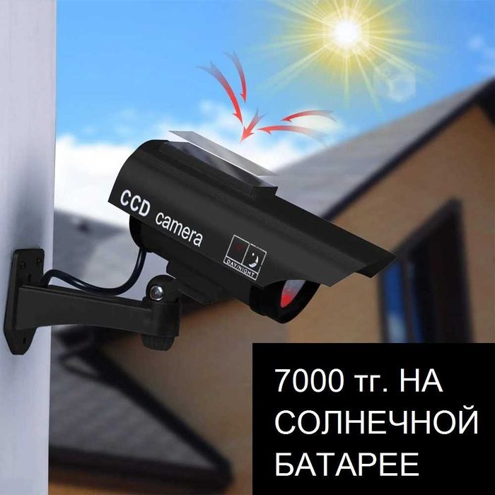 Мүшесі бар əйел еркекті попка сипатады