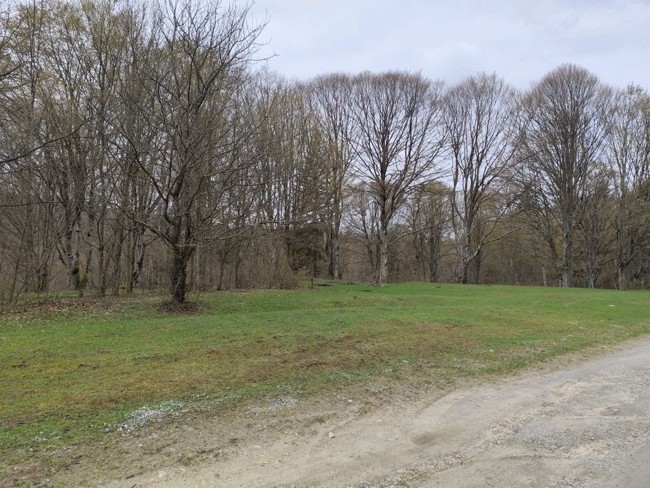 Vand Teren Valea Avrig