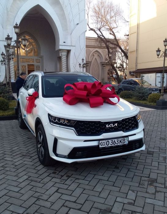 Bantik moshinaga shar vazdushniy Bantik padarka