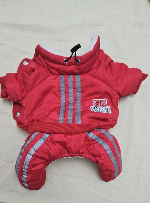 Одежда для собак