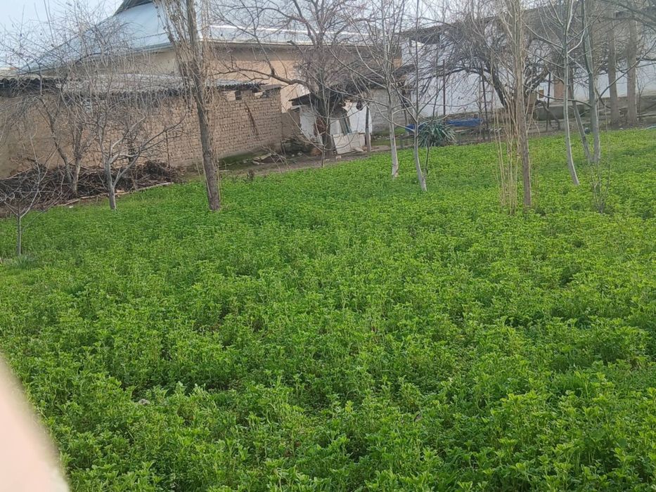 Бордонкўлда ҳовли сотилади.