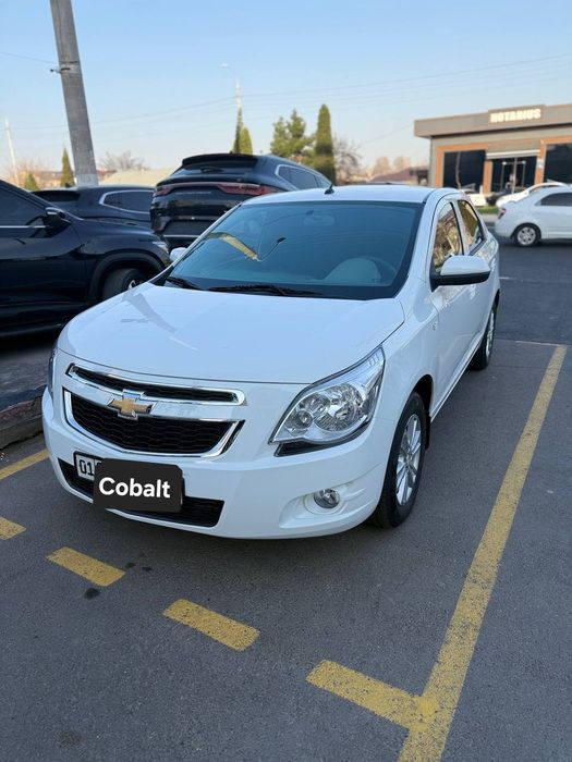 Kobalt MCM STYLE 2026