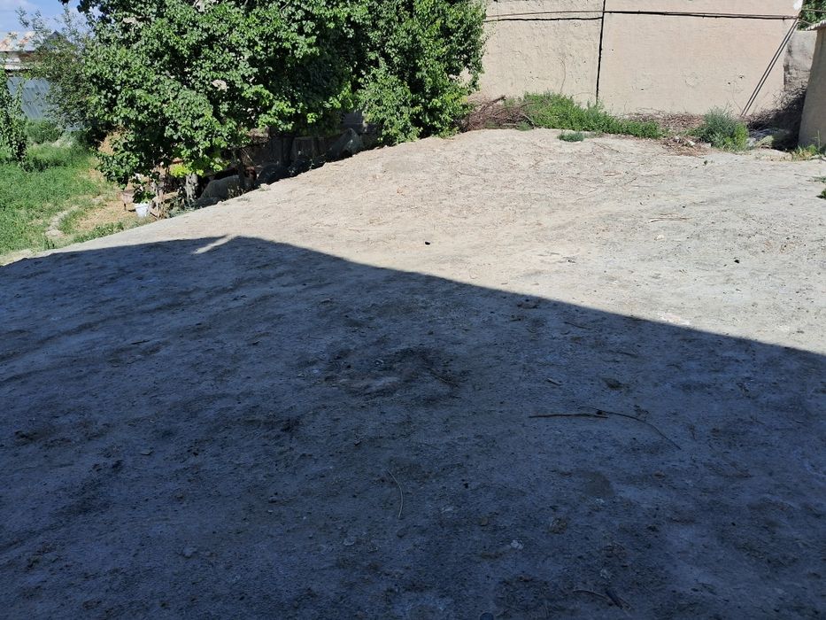 Пешкуда участка ер майдони сотилади.