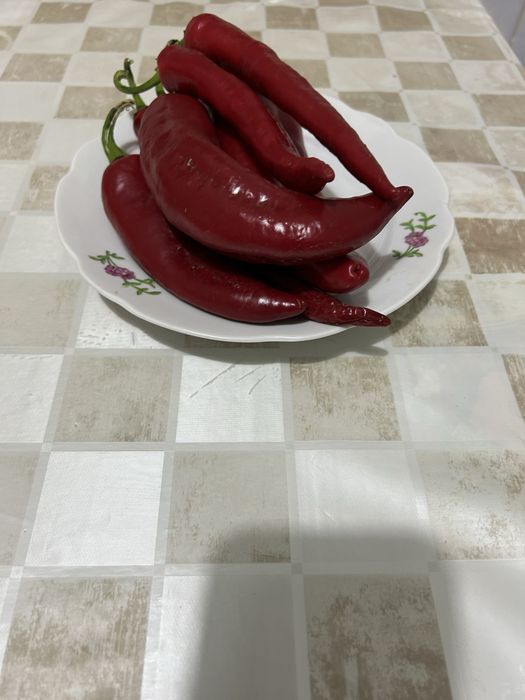 Перец болгарский и горкий