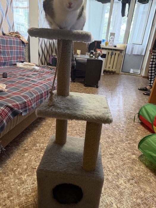 Продам домик для кошки