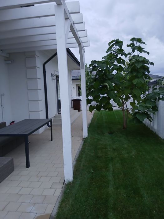 Mentenanță, tuns gazon  Bucuresti si Ilfov