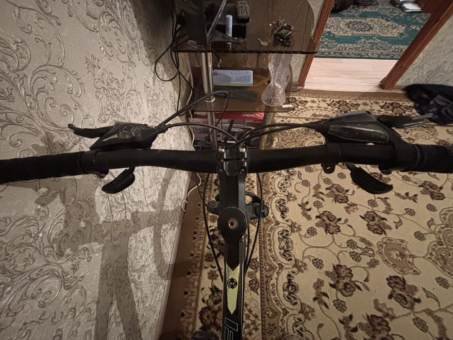 Pro fi велик жаксы багада