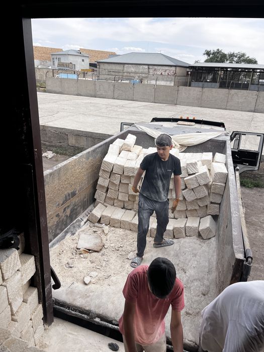 Ракушка керпич ракушеблок