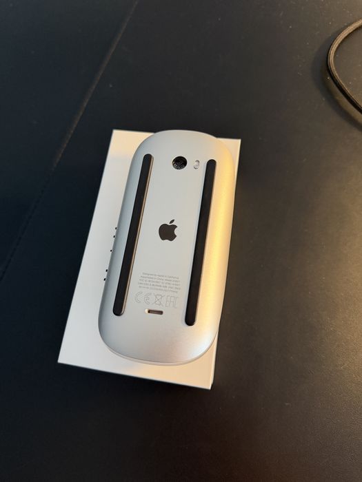 Magic mouse 3