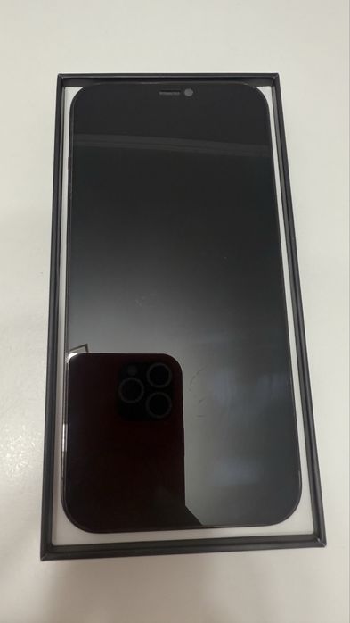 iPhone 12 pro max