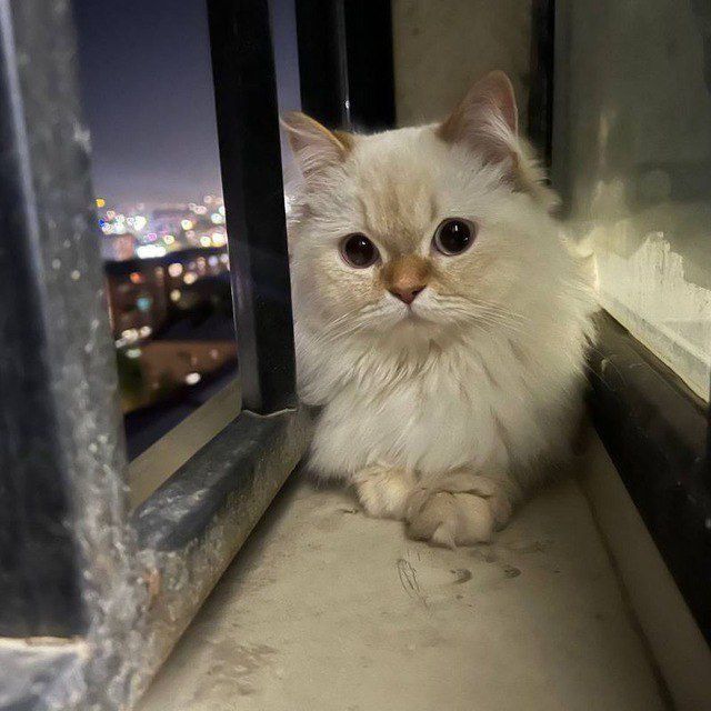 Sotiladi strayt 2 yow qum latok qoshib beriladi 500 min keliwiladi