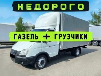 Услуги Грузчик  и Газель 24/7