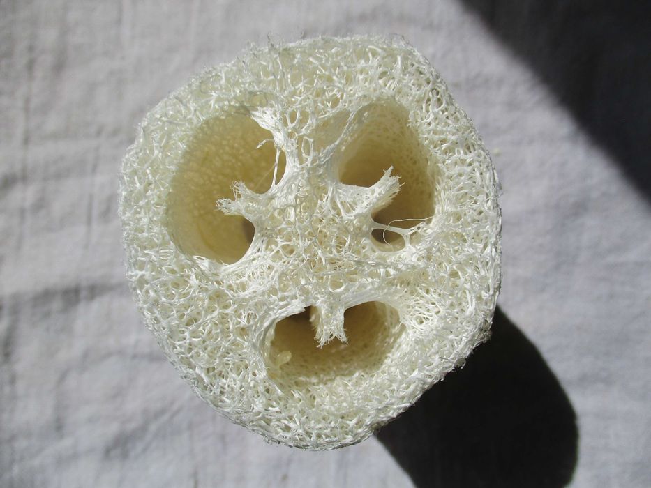 Loofah (luffa), 6 bucăți, noi