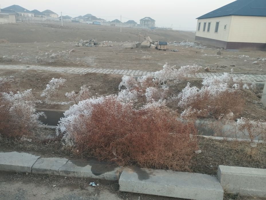 Земельный участок