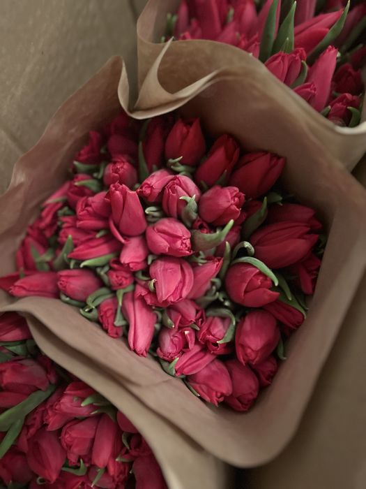 Тюльпаны к 8 марта премиум сорт